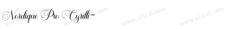 Nordique Pro Cyrilli字体转换